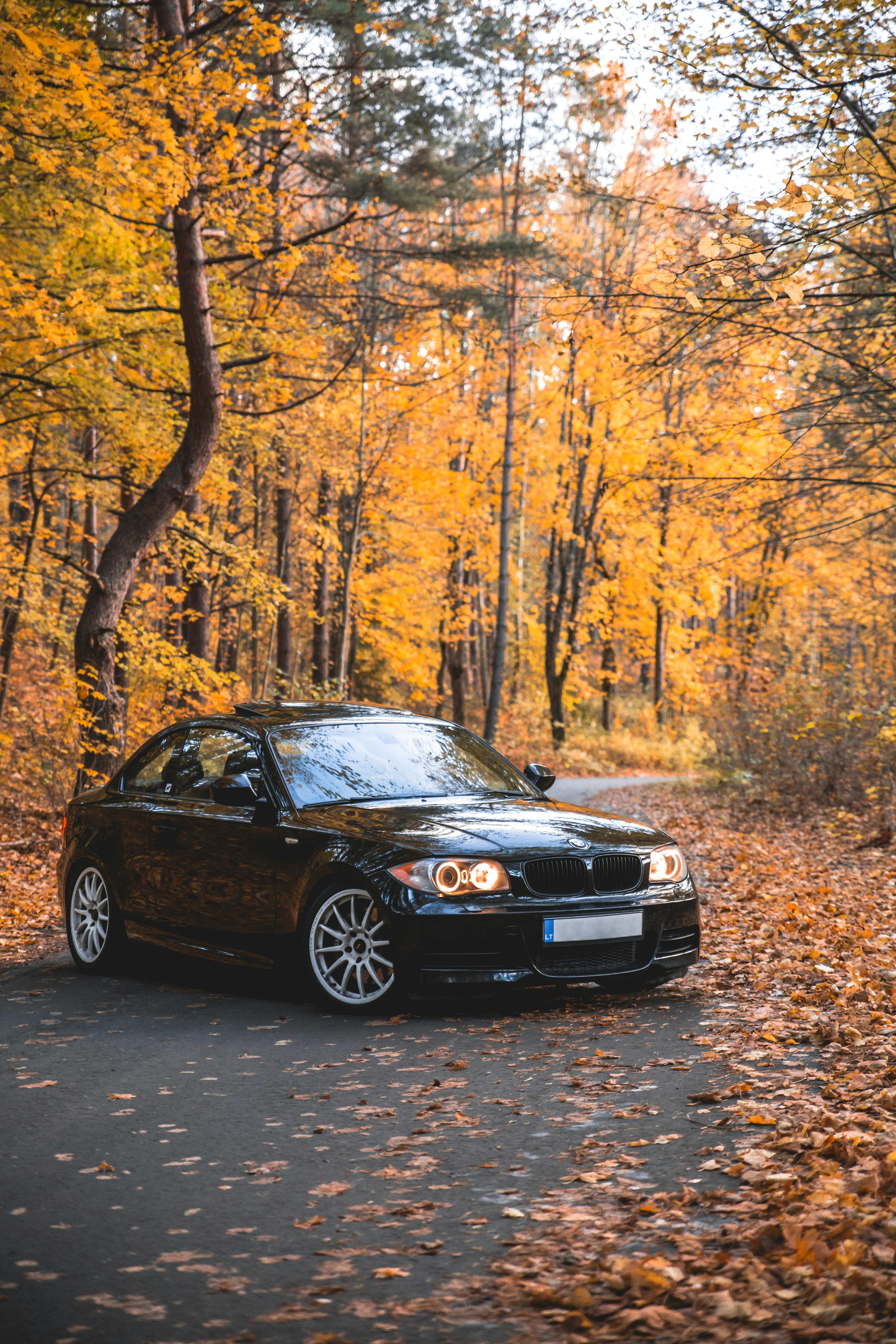 BMW 1 series, a fun project car